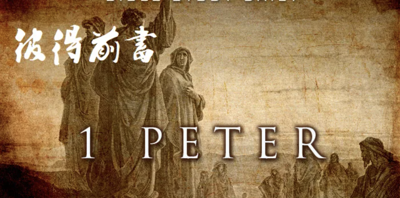 Read more about the article 2023-10-31（周二）—彼后3:8-18—坚固真道见主面